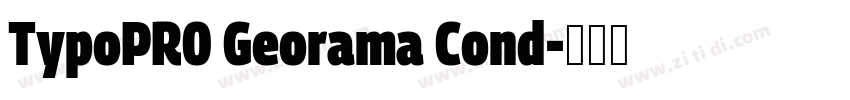 TypoPRO Georama Cond字体转换
